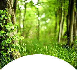 Environmental remediation project using activated carbon